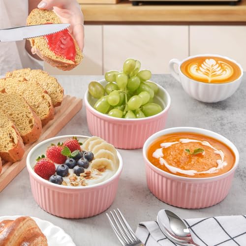 NUTRIUPS Pink Ramekins 14oz Oven Safe Set of 4, Porcelain Pudding Cups for Creme Brulee Souffle, Ceramic Ramekins Set for Baking