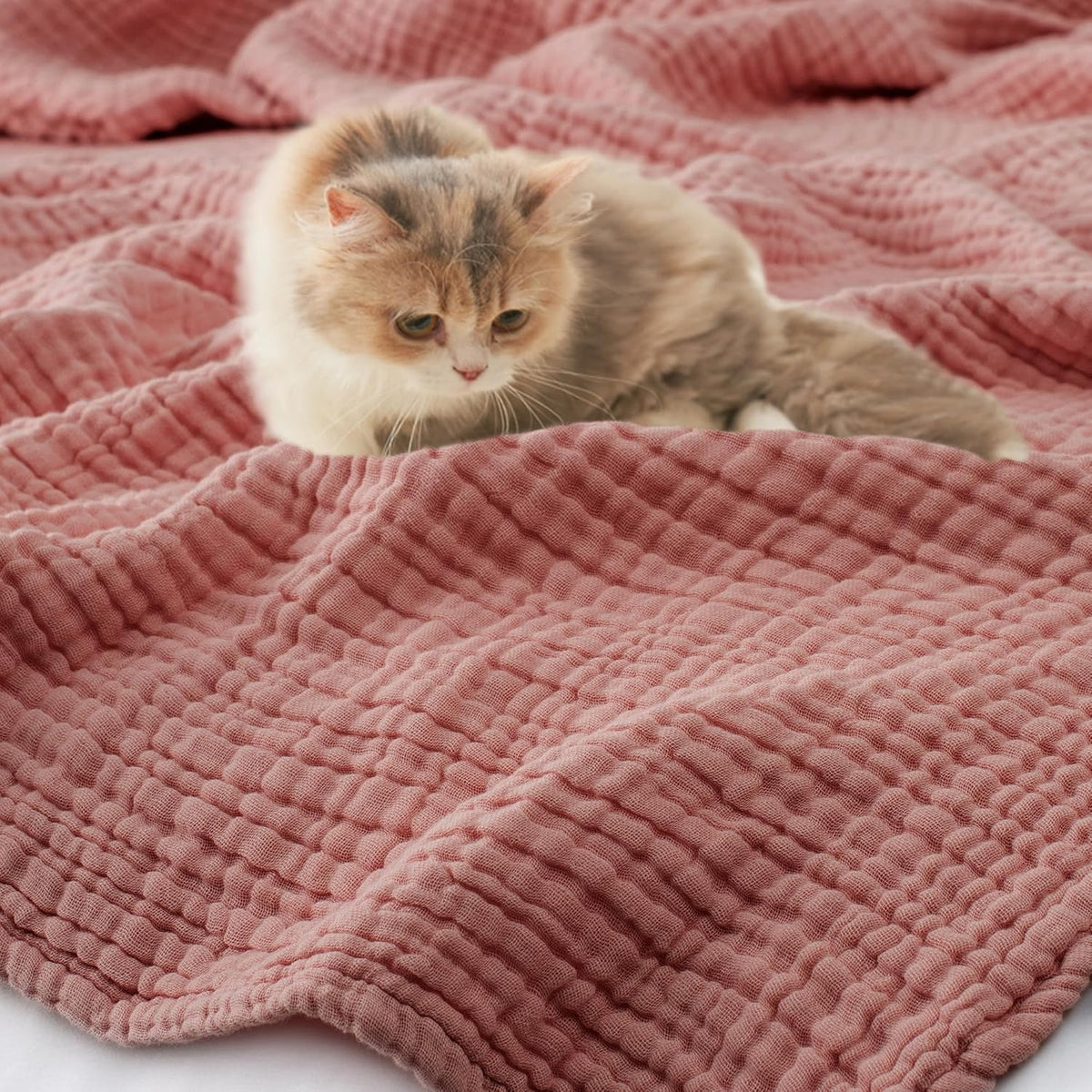 Carriediosa 100% Cotton Muslin Throw Blanket 50" X 70" Throw XL Size,4-Layers Summer Gauze Throws for Bed Couch,Soft Lightweight Breathable Linen Blankets Bedspread for Adults All Season,Mauve