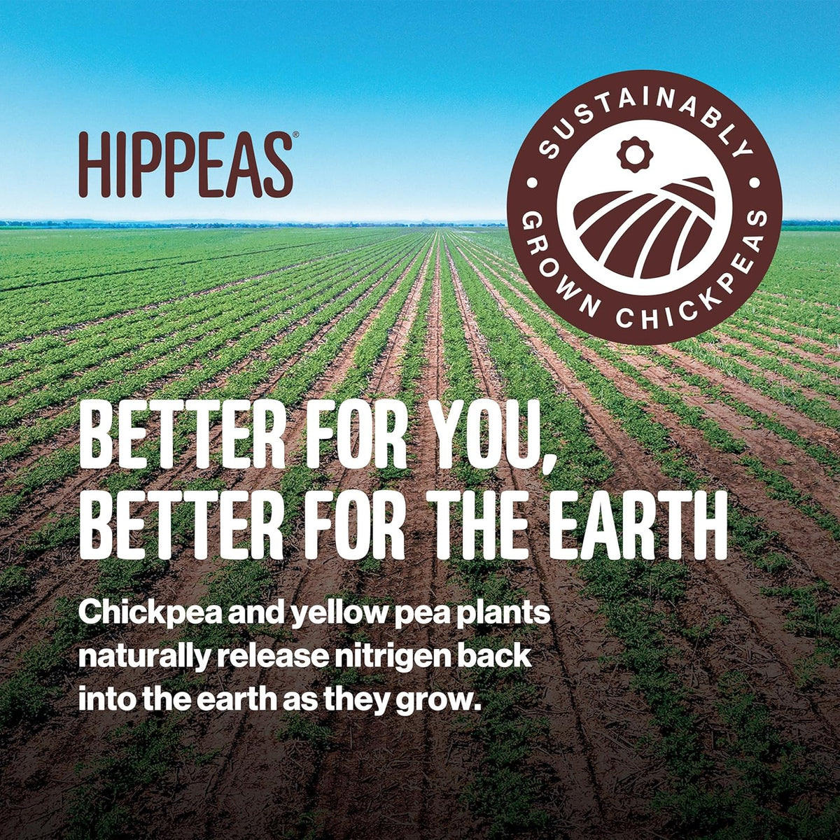 Hippeas Chickpea Puffs, Vegan White Cheddar, 0.8 Ounce (Pack of 18), 3g Protein, 2g Fiber, Vegan, Gluten-Free, Crunchy, Plant Protein Snacks