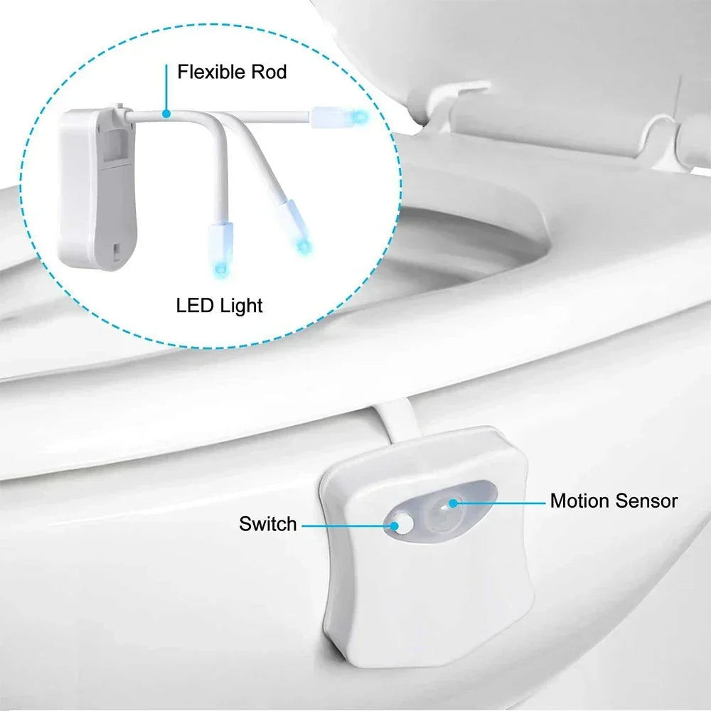 Motion Sensor LED Night Light