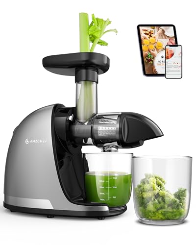AMZCHEF Cold Press Masticating Juicer Machine - 90% Yield Reverse System, Quiet Motor for Home & Breakfast, 3-Step Clean with Brush, Includes 50+ Juice Recipes, Silver Grey
