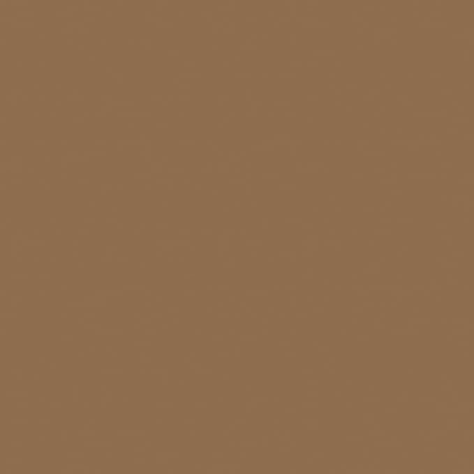 Anolon Advanced Home Hard-Anodized Nonstick Skillets (2 Piece Set- 10.25-Inch & 12.75-Inch, Bronze)