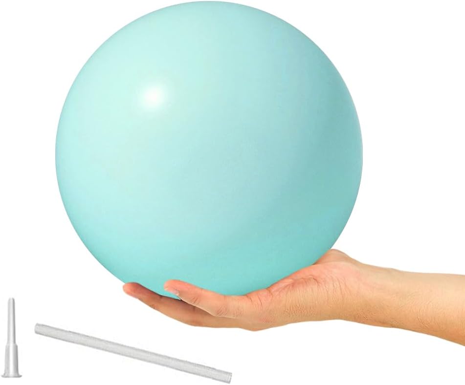 9 Inch Exercise Pilates Ball Mini Exercise Barre Ball for Yoga,Stability Exercise Training Gym Anti Burst and Slip Resistant Balls Physical Therapy Improves Balance, Core Strength