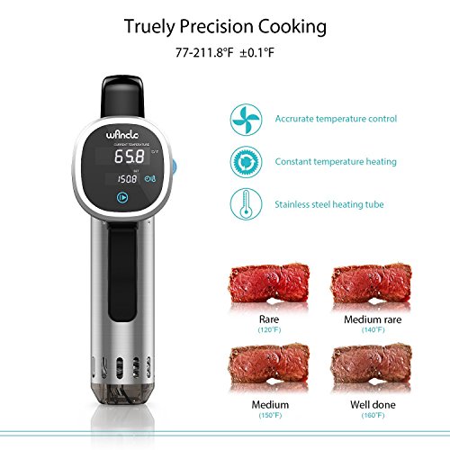 Sous Vide Cooker Immersion Circulator, Wancle sous vide machine 850W, Ultra-Quiet, 120V, Black