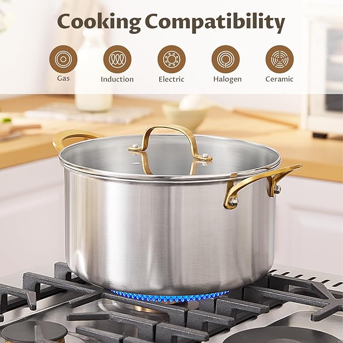 BEZIA 12 Quart 3-Ply Stainless Steel Stockpot, Soup Pot with Lid in Fully Clad Tri-Ply Stainless Steel, Even Heat Distribution, Cooking Pot with Handles, All Cooktops Compatible, Perfect for Stew