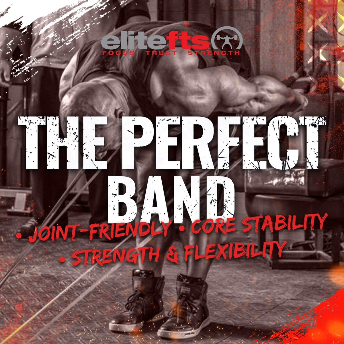 EliteFTS Pro Resistance Band - Boost Core Stability and Flexibility with This Portable, Joint-Friendly Tool