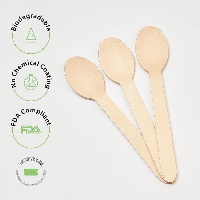 Wooden Spoons 1000 Pieces Bulk Pack | Heavy-Duty Birch Wood Disposable Spoons | Eco-Friendly, Sturdy & Plastic-Free for Catering and Food Service