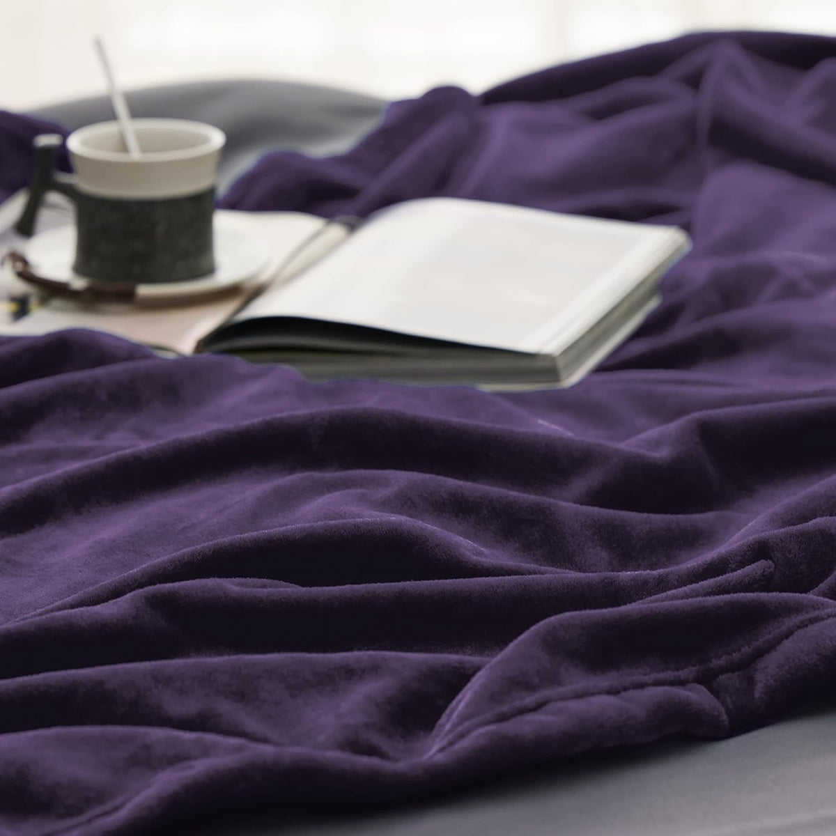 Bedsure Fleece Blanket Twin Size Purple - 300GSM Lightweight Plush Fuzzy Cozy Soft Warm Blanket for Bed, Sofa, Couch, Travel, Camping, 60x80 inches