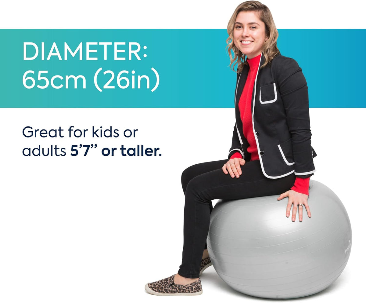 Bouncyband Balance Ball – Create Flexible Seating to Improve Focus at School, Office, or Home with This No-Roll Weighted Ball