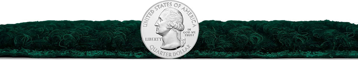 KOECKRITZ Heavy Duty Durable All Weather Indoor/Outdoor Non Slip Entrance Mat Rugs and Runners for Office Business Building Home Garage Front Door (5' x 17', Green)