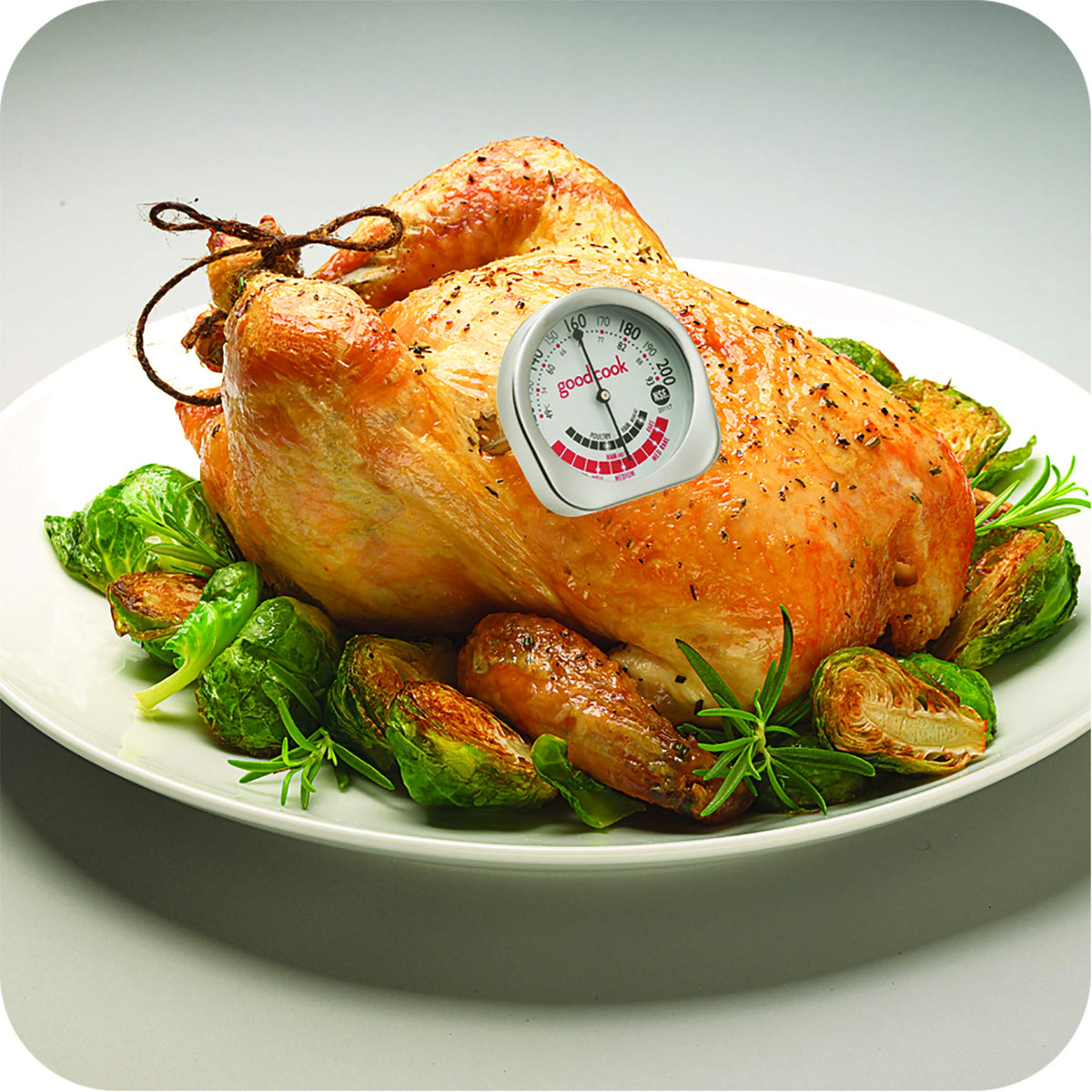 GoodCook Everyday Meat Thermometer with Bi-directional Dial for Meat Type Doneness