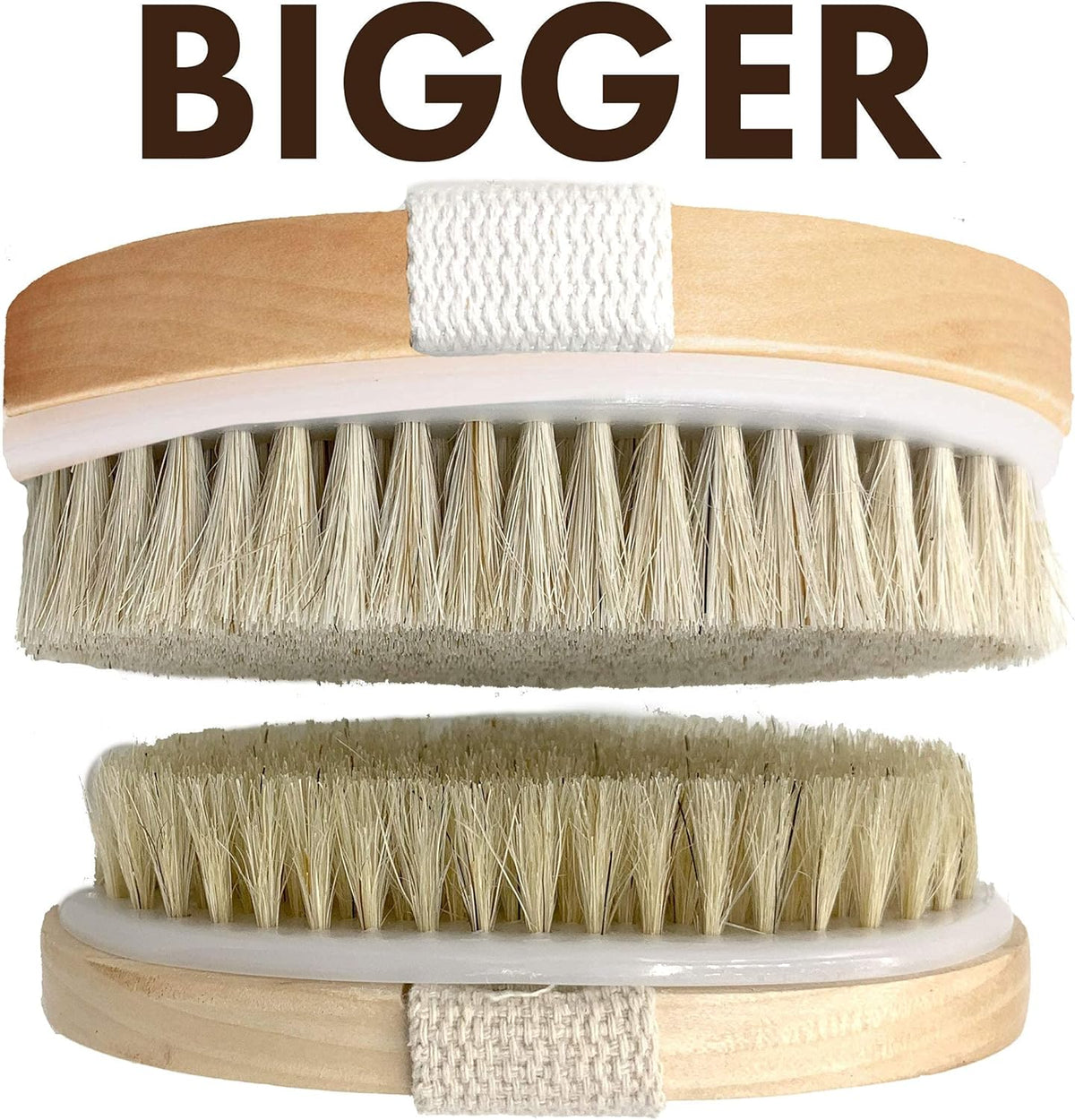 Dry Brushing Body Brush SCALA Natural Bristle Body Brush, Soft Body Exfoliating Brush Scrub for Dead Skin, Cellulite, Lymphatic Drainage, Blood Flow – Thicker & Stronger Medium Strength