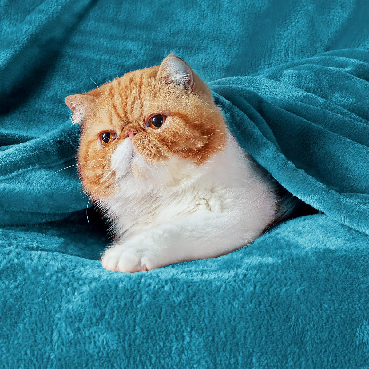 Bedsure Fleece Blankets Queen Size Teal - Bed Blanket Soft Lightweight Plush Fuzzy Cozy Luxury Microfiber, 90x90 inches
