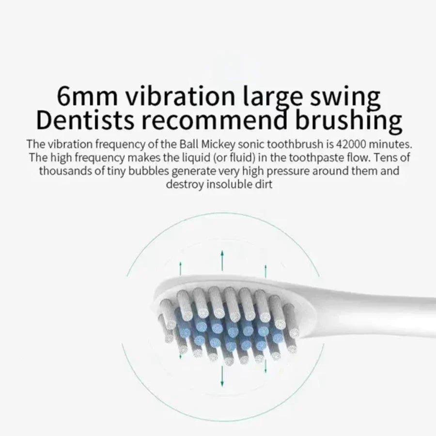Electric Ultrasonic Toothbrush Set