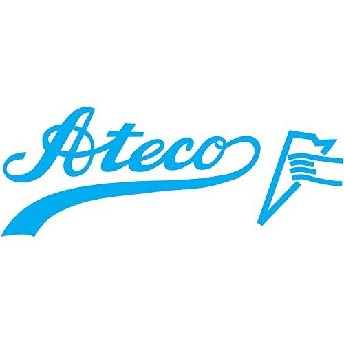Ateco , Two Sided Brush for Cleaning Large & Small Cake Decorating Tubes, 6 long