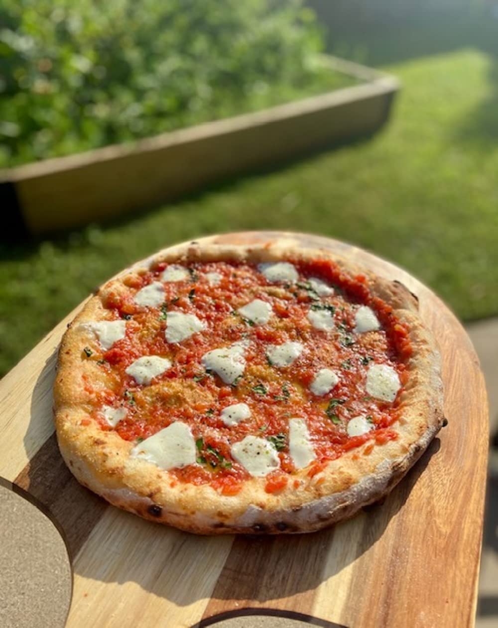 Authentic Pizza Ovens Buena Ventura 'Sierra' Premium, Wood Fire Outdoor Oven
