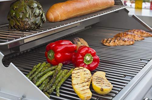 Bullet by Bull Outdoor Products 48108 Bronco Bullet by Bull 4 Burner Grill Liquid Propane, Stainless Steel