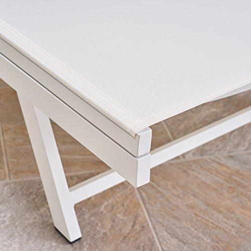Christopher Knight Home Salton Outdoor Aluminum and Mesh Chaise Lounge Set, 2-Pcs Set, White / White