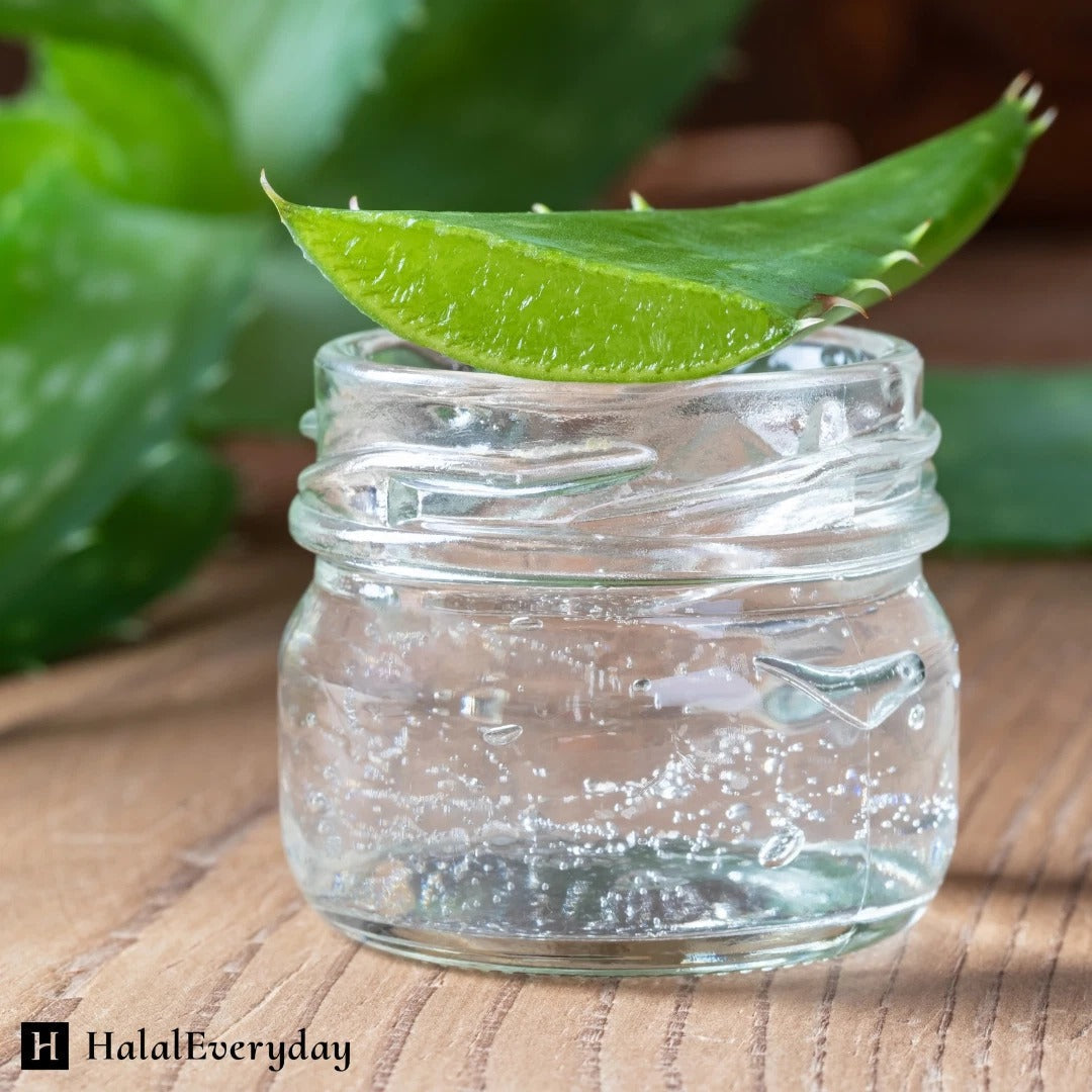 Pure Aloe Vera Gel Bulk